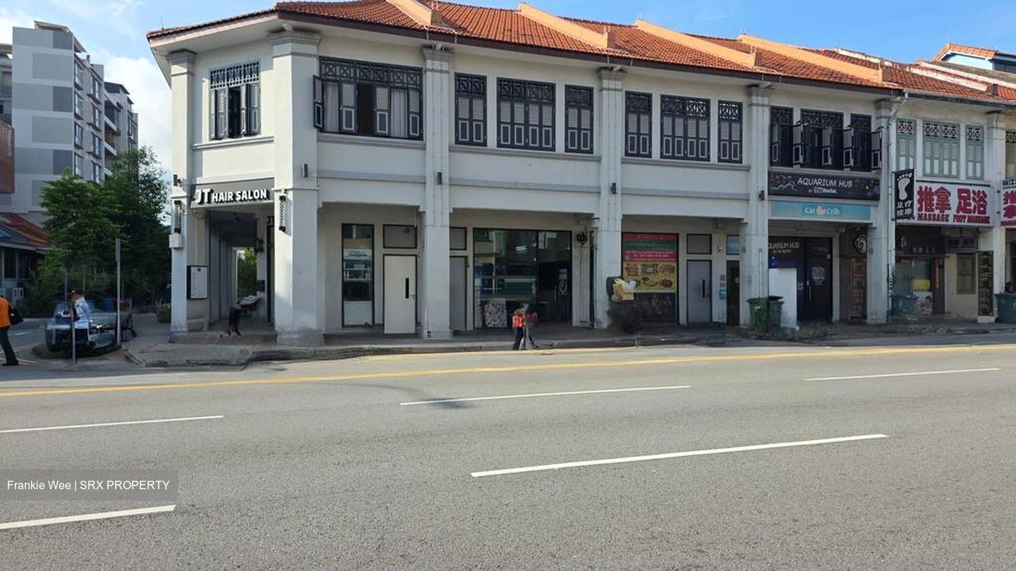 Lorong 39 Geylang (D14), Shop House #496697191